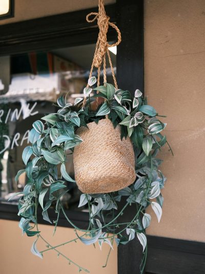 Product category image